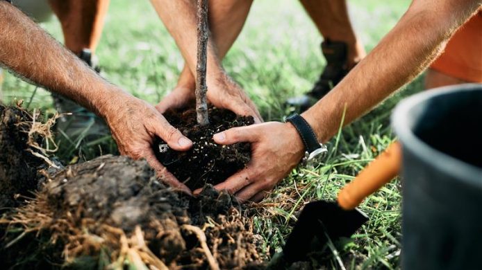 AdobeStock_471796067