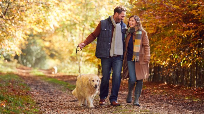 Couple Take Pet Golden Retriever Dog For Walk On Track In Autumn Countryside Holding Hands